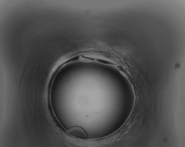 X0000097970006200804011732