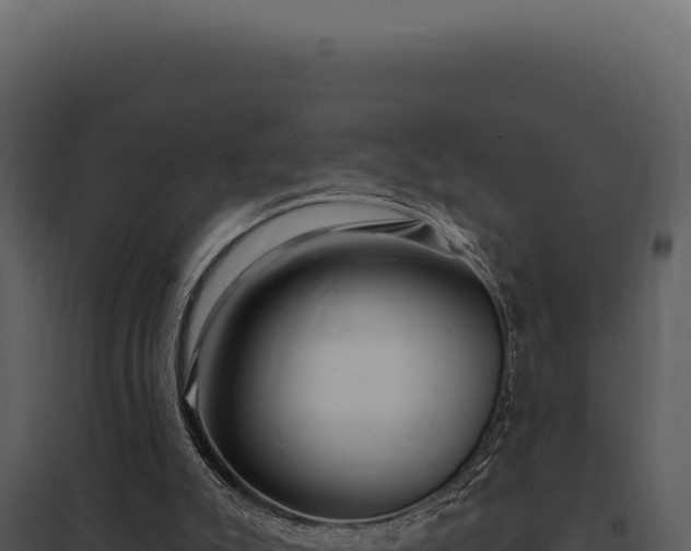 X0000097970007200804011732