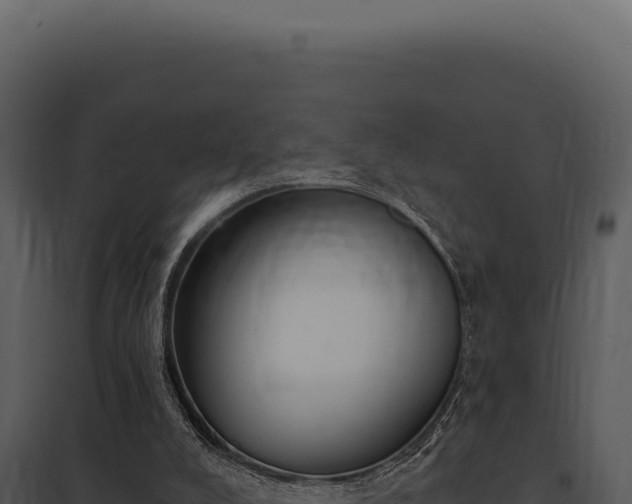 X0000097970008200804011732