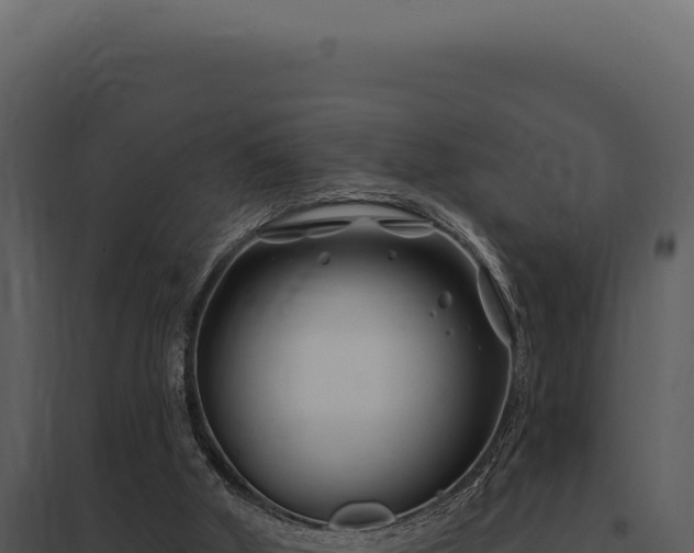 X0000097970010200804011732