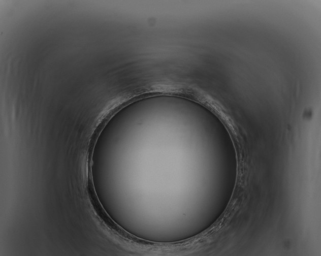 X0000097970011200804011732