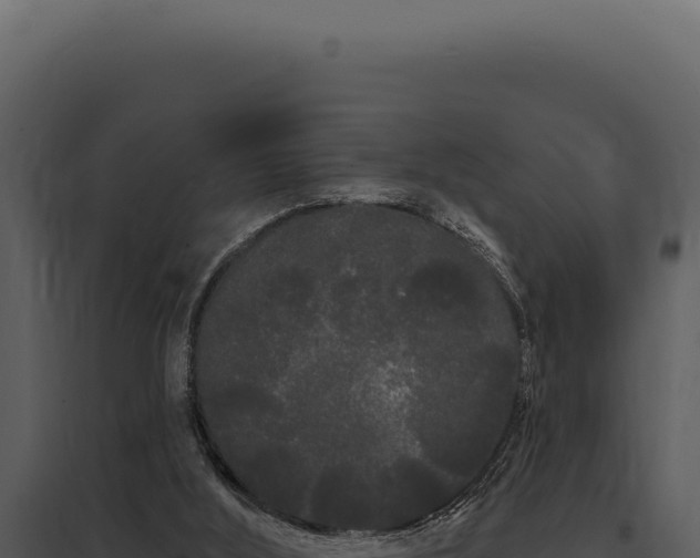 X0000097970012200804011732