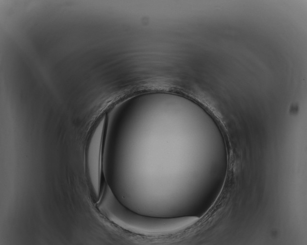 X0000097970013200804011732