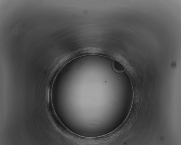 X0000097970014200804011732