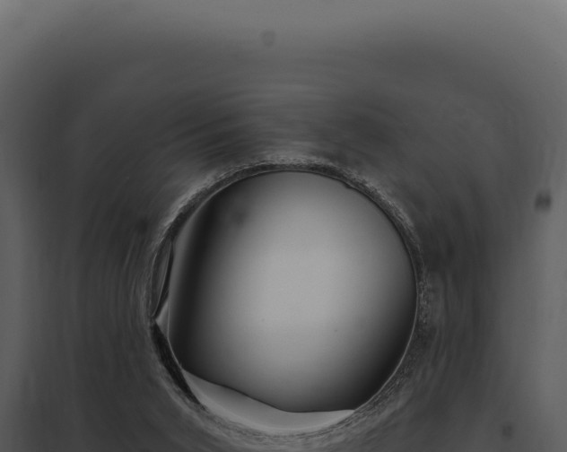 X0000097970015200804011732