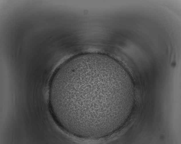 X0000097970016200804011732