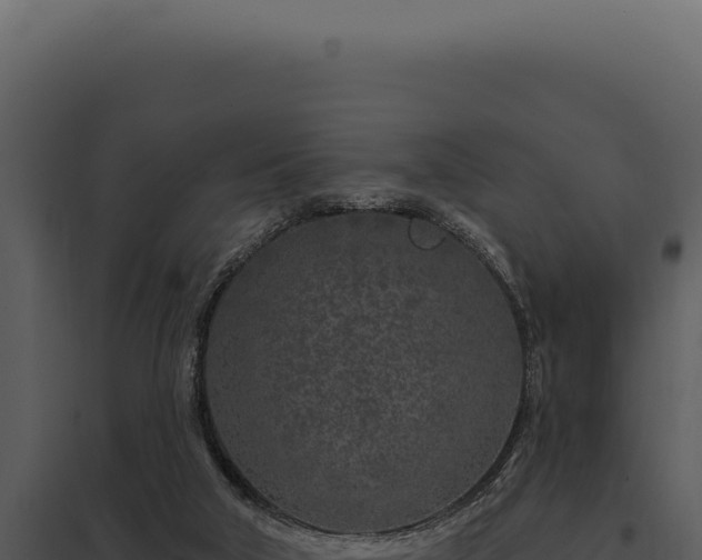 X0000097970018200804011732