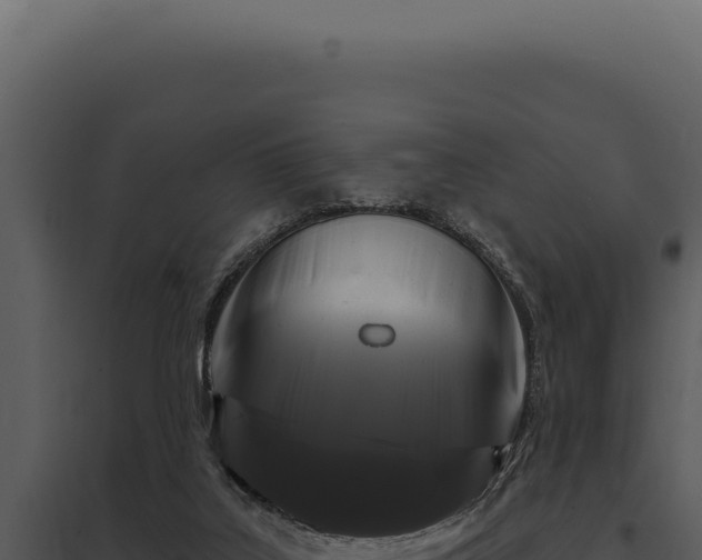 X0000097970019200804011732