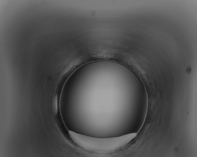 X0000097970020200804011732