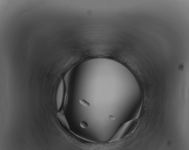 X0000097970021200804011732