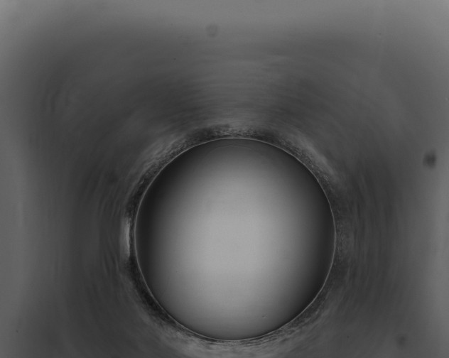 X0000097970022200804011732