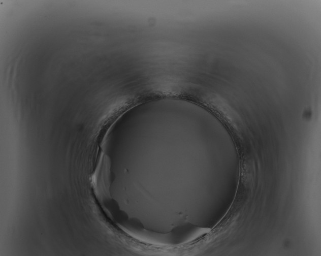 X0000097970023200804011732