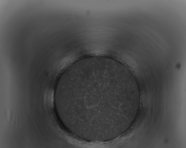 X0000097970024200804011732