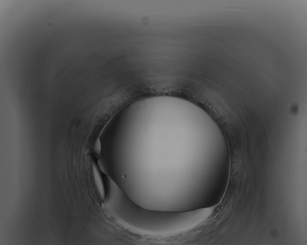 X0000097970025200804011732