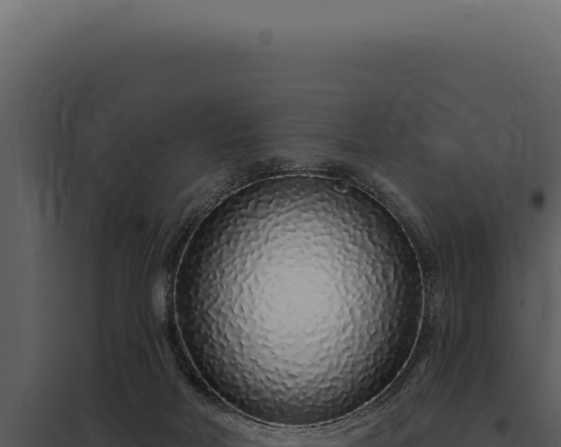 X0000097970026200804011732