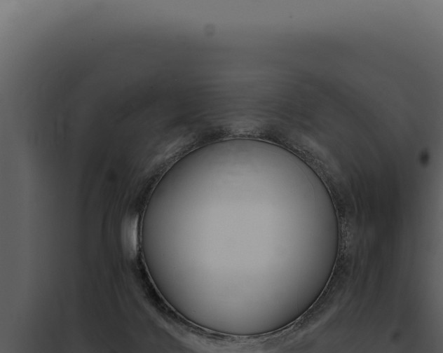 X0000097970028200804011732