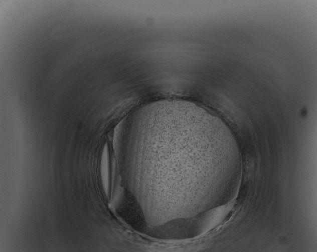 X0000097970029200804011732