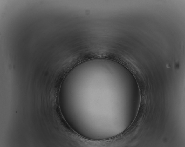 X0000097970030200804011732