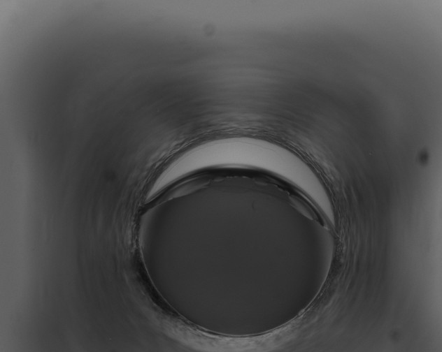 X0000097970031200804011732