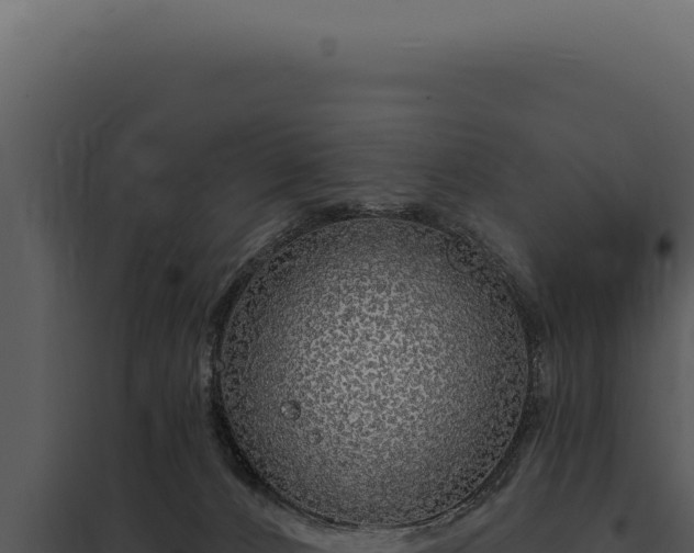 X0000097970032200804011732