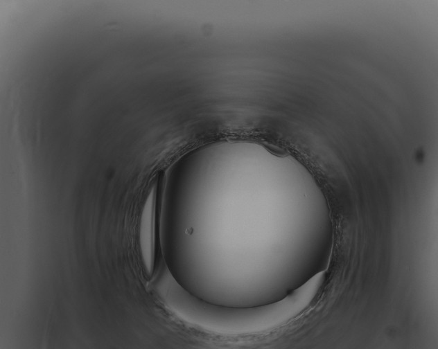 X0000097970033200804011732