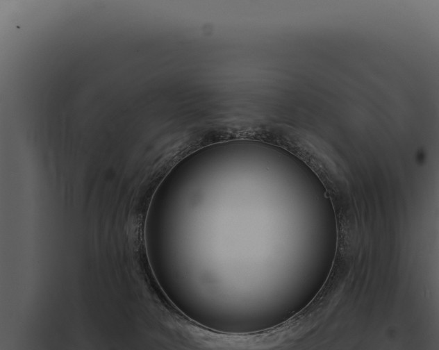 X0000097970034200804011732