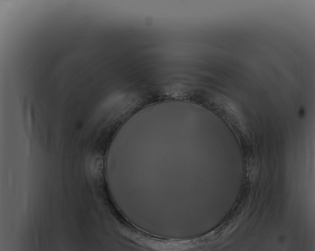 X0000097970036200804011732