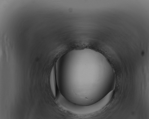 X0000097970037200804011731