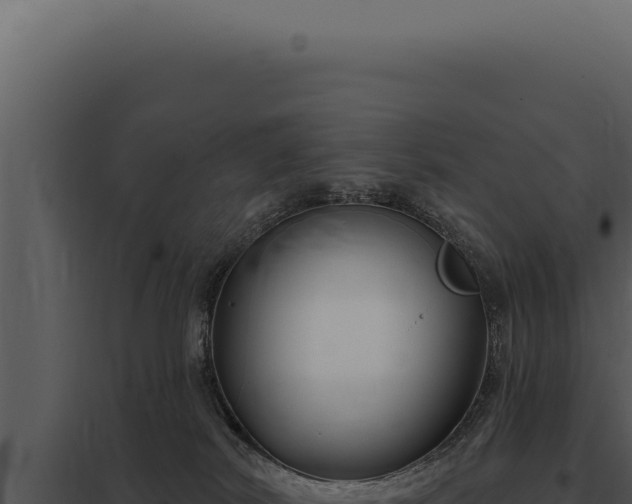 X0000097970038200804011731