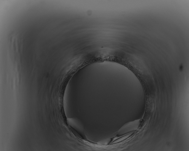 X0000097970039200804011731