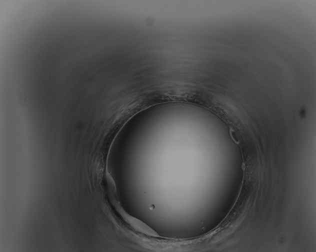 X0000097970040200804011731