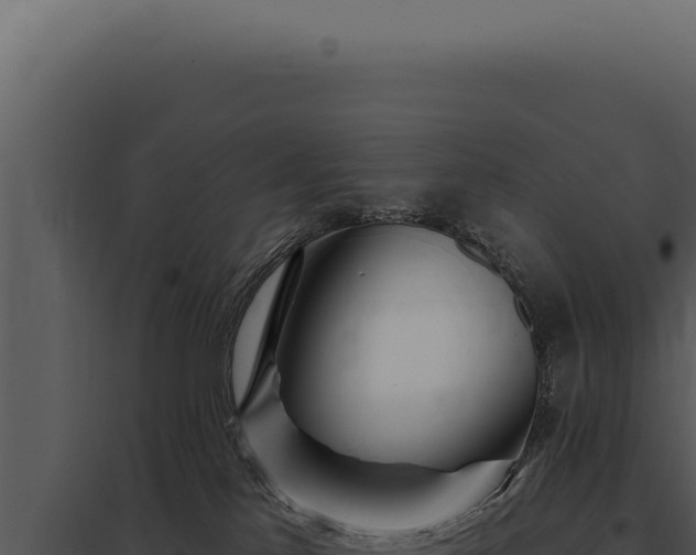 X0000097970041200804011731