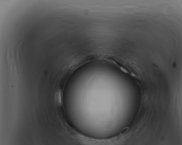 X0000097970042200804011731