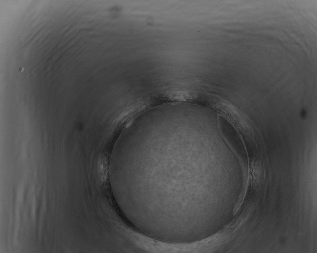 X0000097970043200804011731