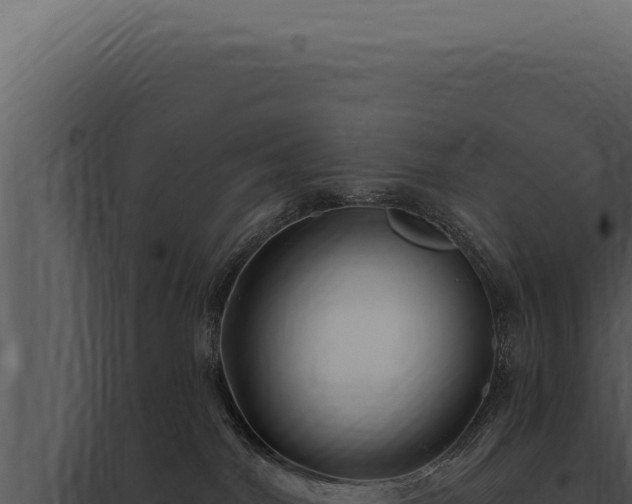 X0000097970044200804011731