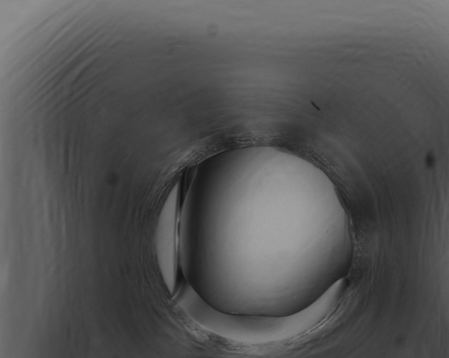 X0000097970045200804011731