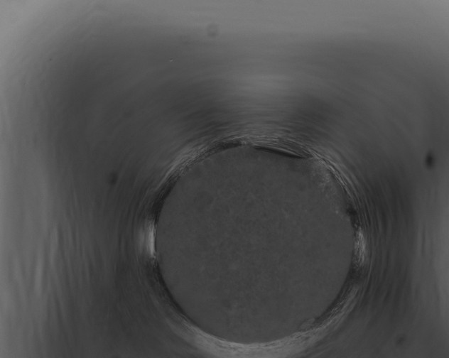 X0000097970046200804011731