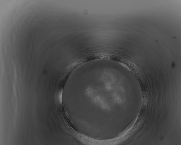 X0000097970047200804011731