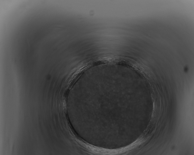 X0000097970048200804011731