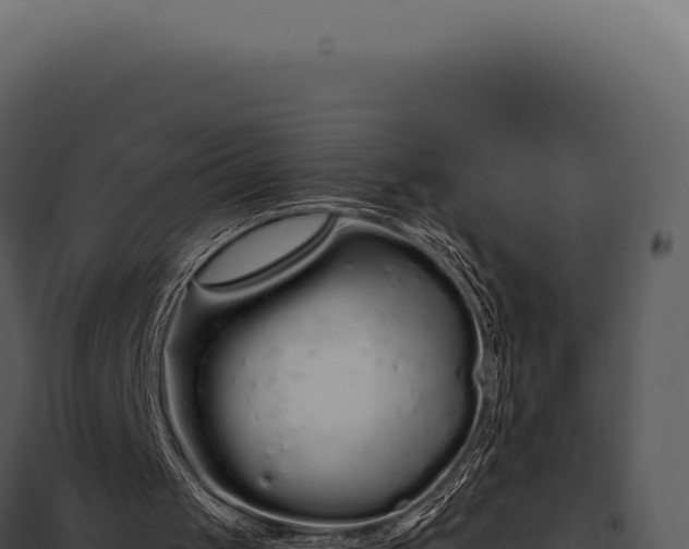 X0000097970049200804011731