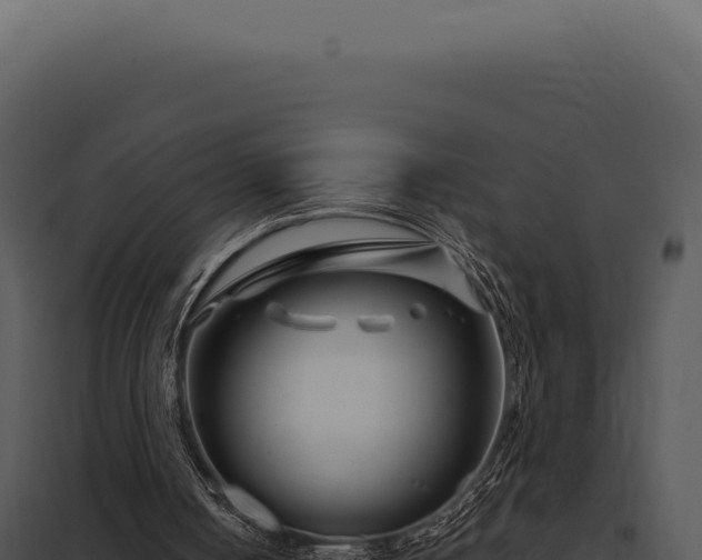 X0000097970050200804011731