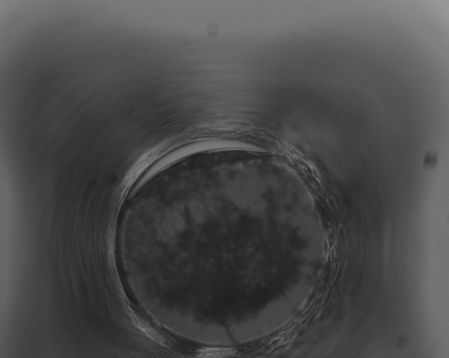 X0000097970051200804011731