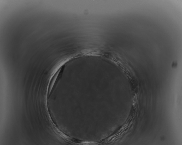 X0000097970052200804011731