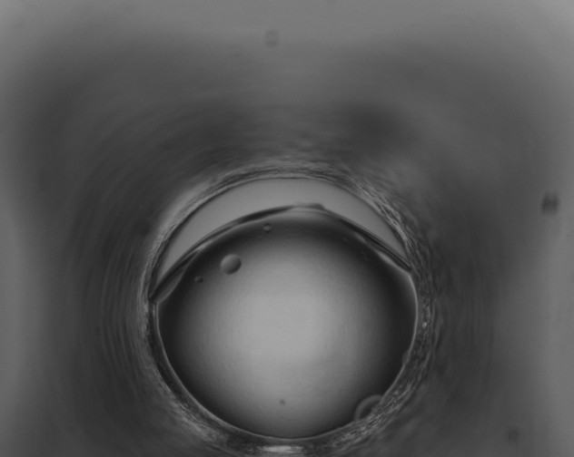 X0000097970053200804011731