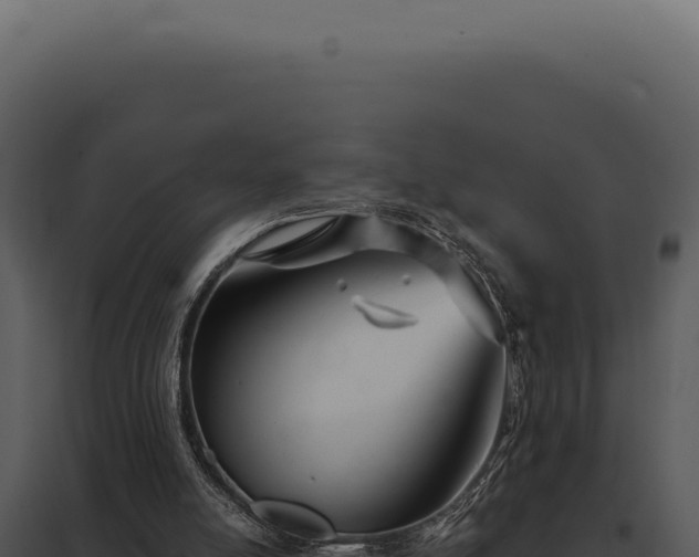 X0000097970054200804011731