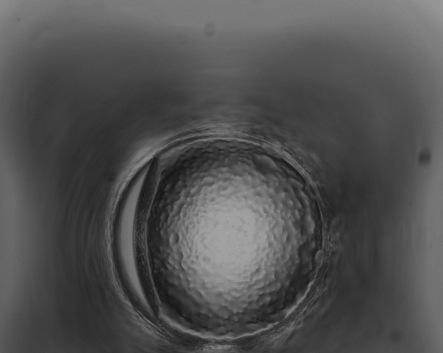 X0000097970055200804011731