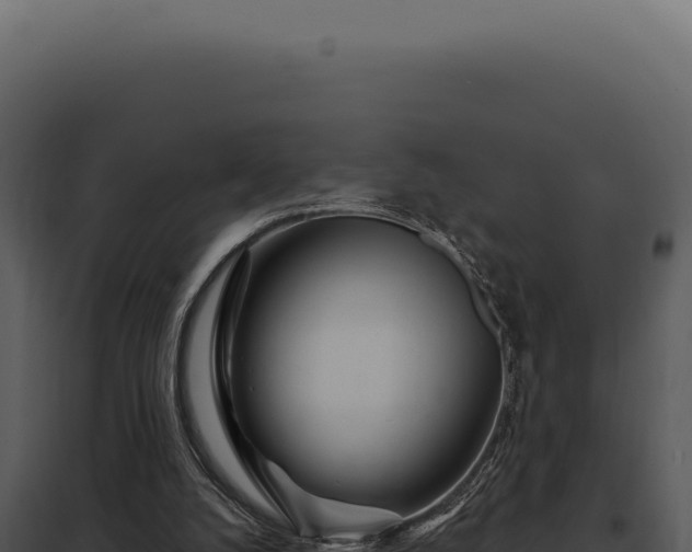 X0000097970056200804011731