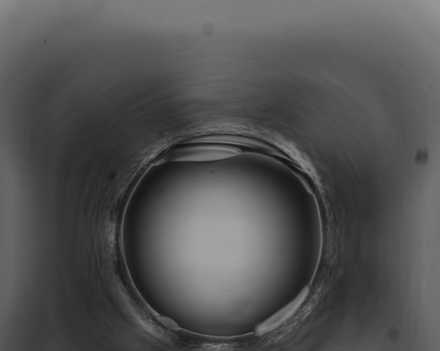 X0000097970057200804011731