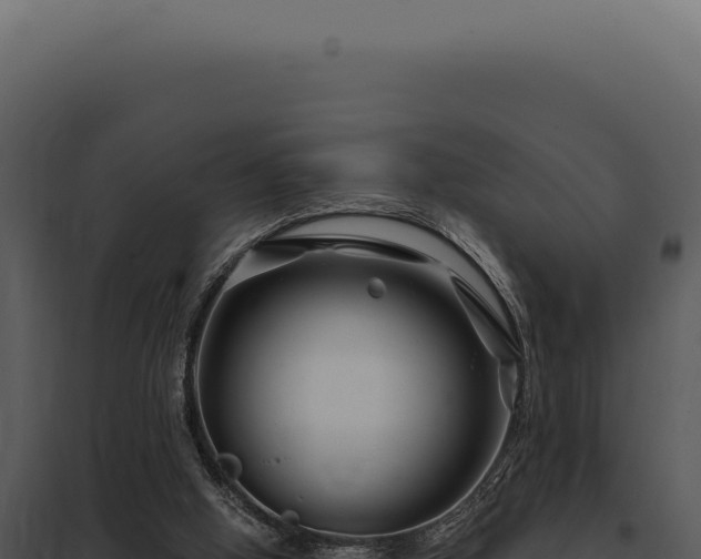 X0000097970058200804011731