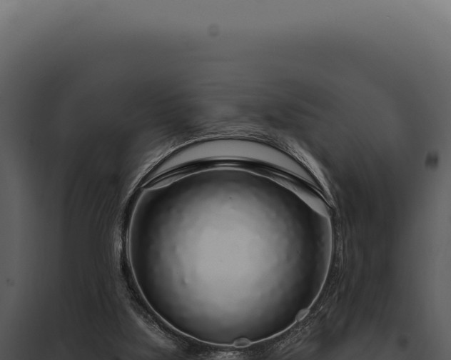 X0000097970059200804011731